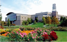 The Introduction of Dentistry Courses in Niagara College